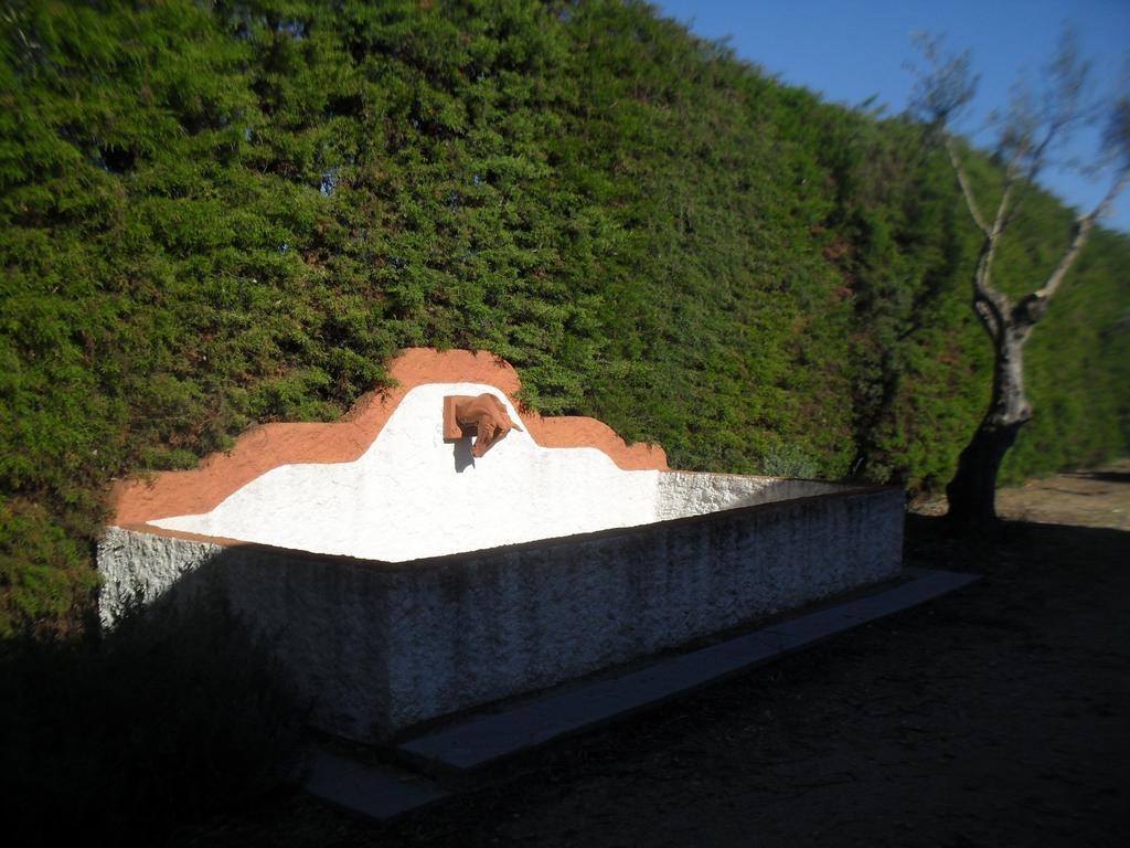 Quinta Do Outeiro Alto Villa Constancia Luaran gambar
