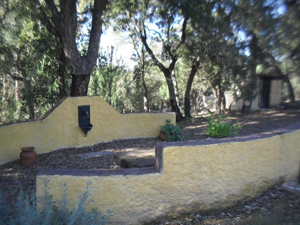 Quinta Do Outeiro Alto Villa Constancia Luaran gambar