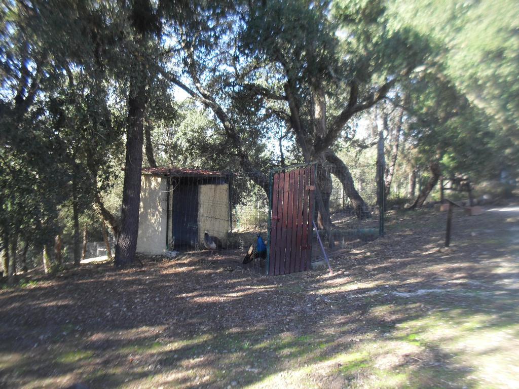 Quinta Do Outeiro Alto Villa Constancia Luaran gambar