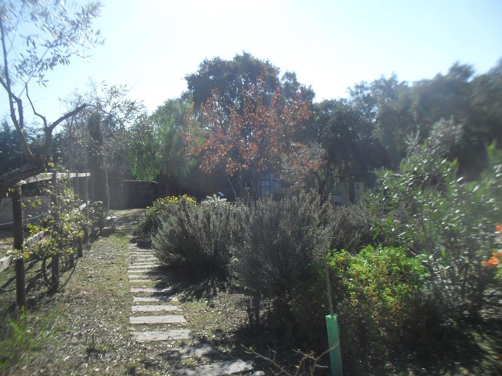 Quinta Do Outeiro Alto Villa Constancia Luaran gambar