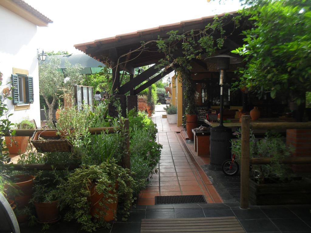 Quinta Do Outeiro Alto Villa Constancia Luaran gambar