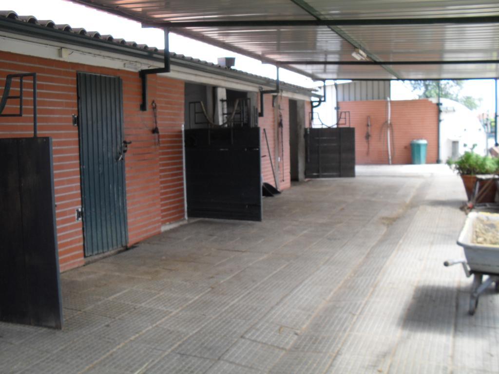 Quinta Do Outeiro Alto Villa Constancia Luaran gambar