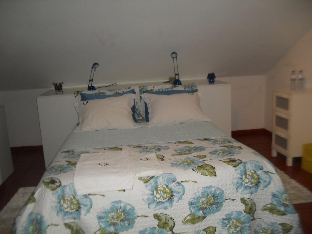 Quinta Do Outeiro Alto Villa Constancia Luaran gambar
