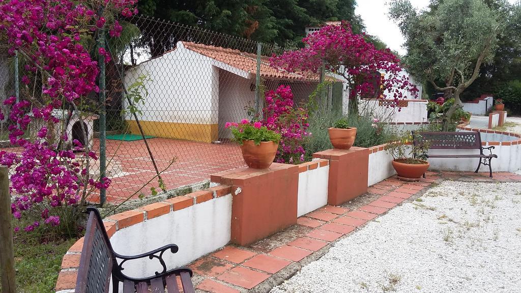 Quinta Do Outeiro Alto Villa Constancia Luaran gambar