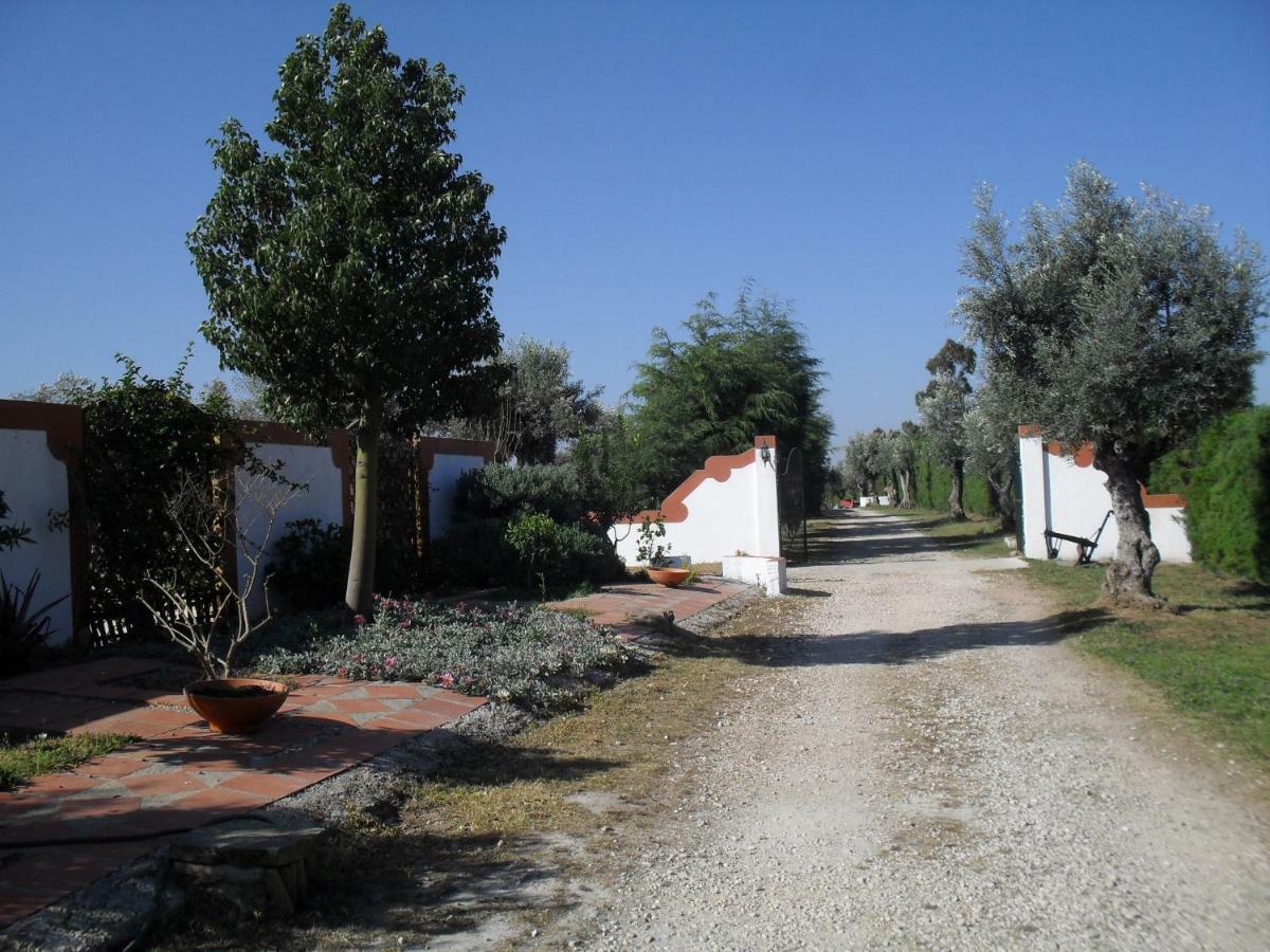 Quinta Do Outeiro Alto Villa Constancia Luaran gambar